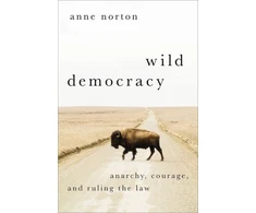 KNYGA Anne Norton Wild Democracy
