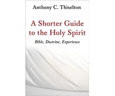 KNYGA Anthony C Thiselton Shorter Guide to the Holy Spirit