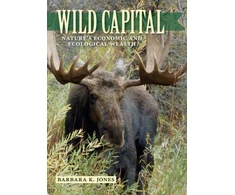 KNYGA Barbara K Jones Wild Capital