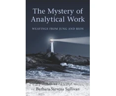 KNYGA Barbara Stevens Sullivan Mystery of Analytical Work