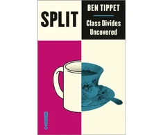 KNYGA Ben Tippet Padalinti