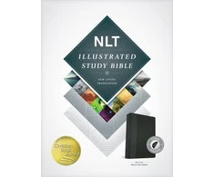KNYGA Bookshop NLT Illustrated Study Bible Tutone Juodas/Onyx, Indexed