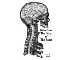 KNYGA Bookshop Notes From The Belly Of The Beast