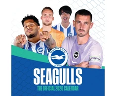 KNYGA Bookshop Official Seagulls Desk Calendar 2026