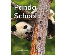 KNYGA Bookshop Panda School