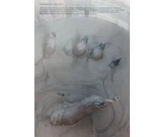 KNYGA Bookshop PFEIL #18 - BODY