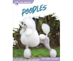 KNYGA Bookshop Poodles
