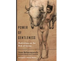 KNYGA Bookshop Power of Gentleness