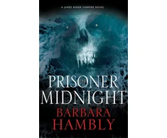 KNYGA Bookshop Prisoner of Midnight