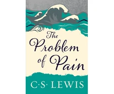 KNYGA Bookshop Problem of Pain