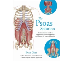KNYGA Bookshop Psoas Solution