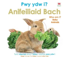 KNYGA Bookshop Pwy Ydw i? Anifeiliaid Bach / Who Am I? Baby Animals