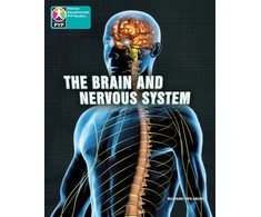 KNYGA Bookshop PYP L10 Brain and nervous system 6PK