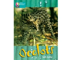 KNYGA Bookshop PYP L10 Ocelots 6PK