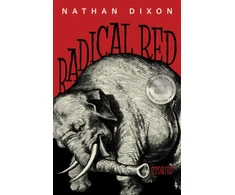 KNYGA Bookshop Radical Raudona