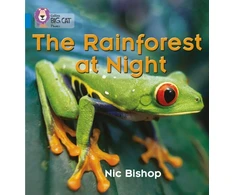 KNYGA Bookshop Rainforest at Night
