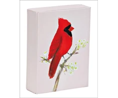 KNYGA Bookshop Raudona Cardinal Playing Cards