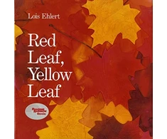 KNYGA Bookshop Raudona Leaf, Geltona Leaf