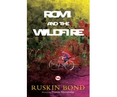 KNYGA Bookshop Rom and the Wildfire