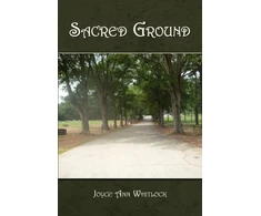 KNYGA Bookshop Sacred Ground
