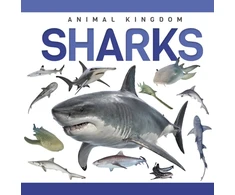 KNYGA Bookshop Sharks