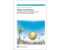 KNYGA Bookshop Single-Ion Solvation