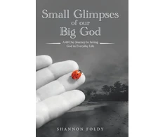 KNYGA Bookshop Small Glimpses of Our Big God