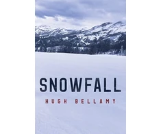 KNYGA Bookshop Snowfall