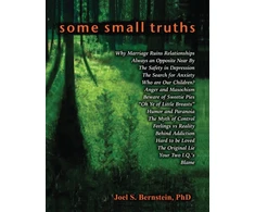 KNYGA Bookshop Some Small Truths