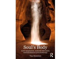 KNYGA Bookshop Soul's Body