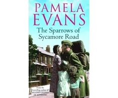 KNYGA Bookshop Sparrows of Sycamore Road