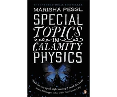 KNYGA Bookshop Special Topics in Calamity Physics