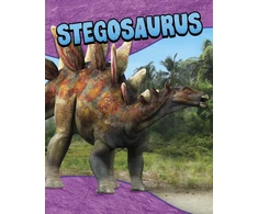 KNYGA Bookshop Stegosaurus