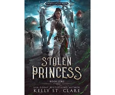 KNYGA Bookshop Stolen Princess