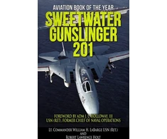 KNYGA Robert Lawrence Holt Sweetwater Gunslinger 201