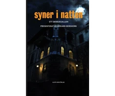 KNYGA Bookshop Syner i natten