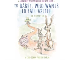 KNYGA Bookshop The Rabbit Who Wants to Fall Asleep