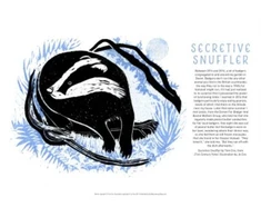 KNYGA Bookshop Tom Cox's 21st Century Yokel Poster: Secretive Snuffler