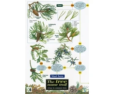 KNYGA Bookshop Tree Name Trail