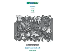 KNYGA Bookshop Vlaams - Chinese (in chinese script), Beeldwoordenboek, BW