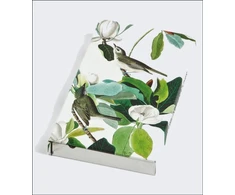 KNYGA Bookshop Warbling Flycatcher, James Audubon 8-Pen Set