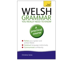 KNYGA Bookshop Welsh Grammar You Really Need to Know: Teach Yourself