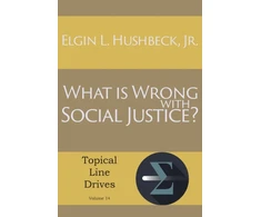 KNYGA Bookshop What Is Wrong with Social Justice