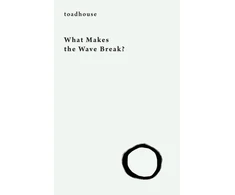 KNYGA Bookshop What Makes the Wave Break?