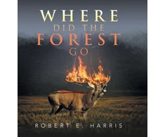 KNYGA Bookshop Where Did the Forest Go
