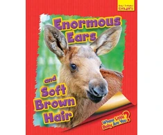 KNYGA Bookshop Whose Little Baby Are You? Enormous Ears and Soft Brown Hair
