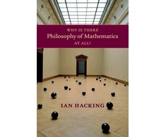 KNYGA Bookshop Why Is There Philosophy of Mathematics At All?