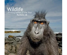 KNYGA Bookshop Wildlife Photographer of the Year: Portfolio 28