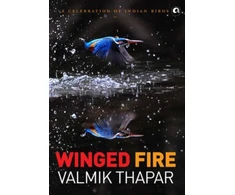 KNYGA Bookshop Winged Fire