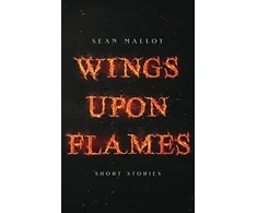 KNYGA Bookshop Wings Upon Flames